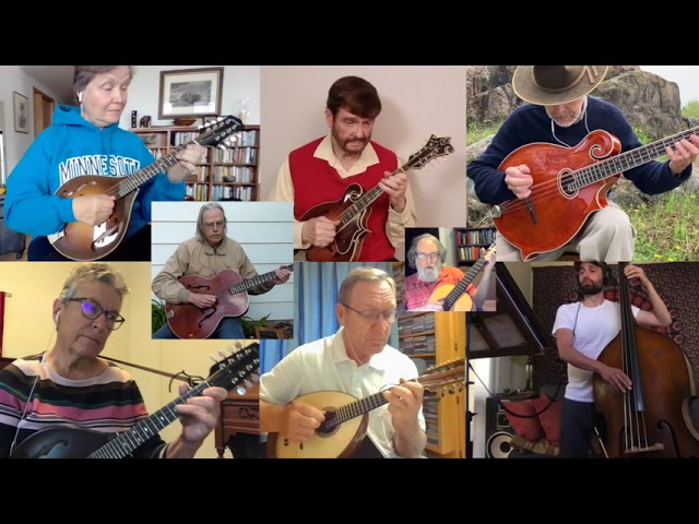 A collage of mandolin and guitar players.